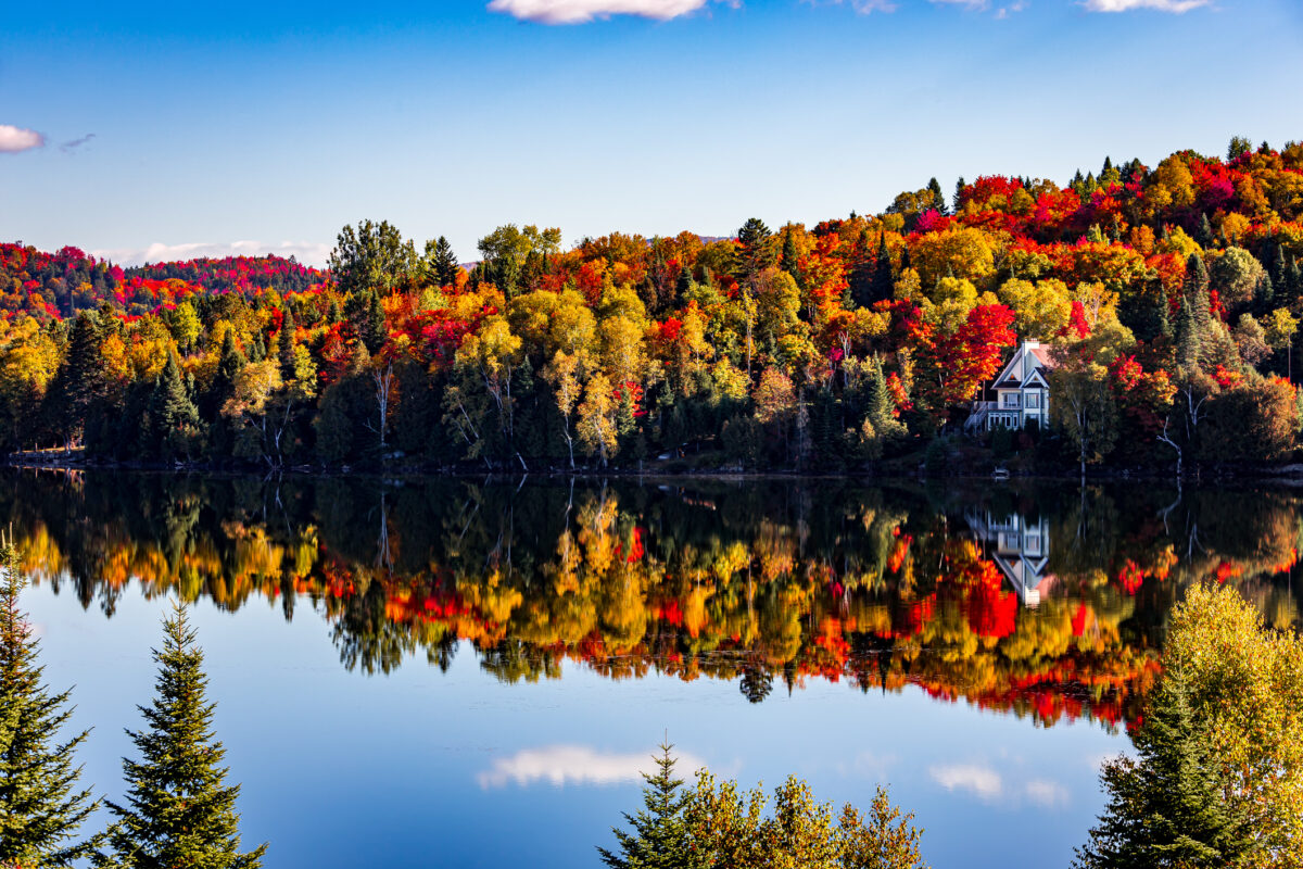 Bunte Herbstwälder spiegeln sich in einem See beim Indian Summer in Kanada