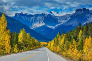 Gerade Bergstraße durch goldgelbe Herbstwälder vor schneebedeckten Felsbergen in den kanadischen Rocky Mountains